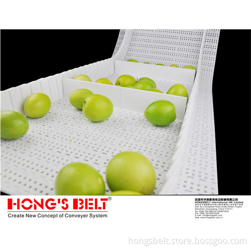 Food Grade Food&Beverage Modular Plastic Conveyor Belt